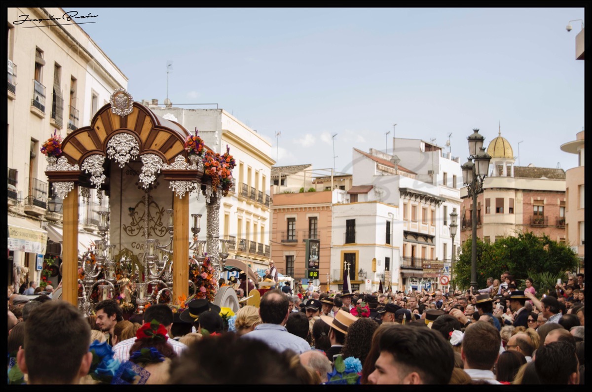 Cordoba rocio 2016-DSC_0112 copia