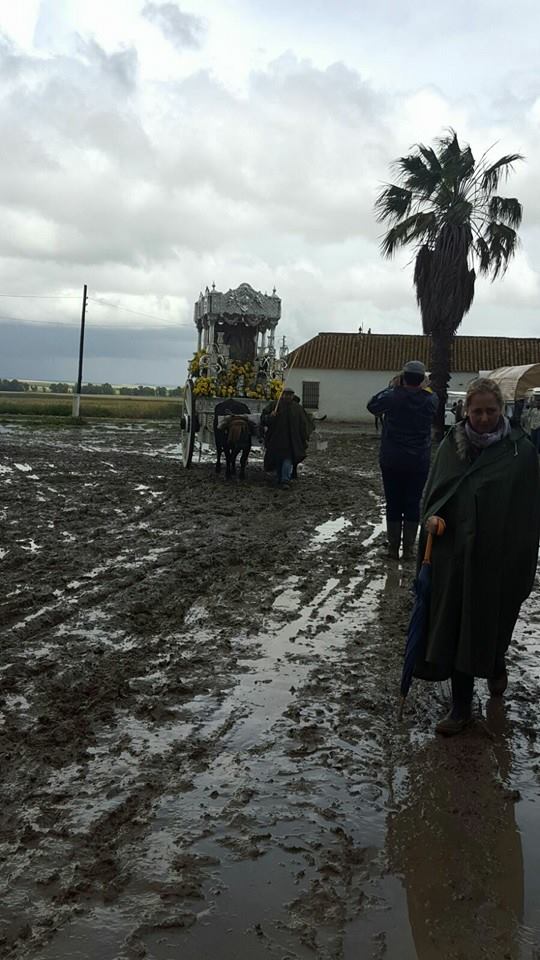 Ecija camino 2016