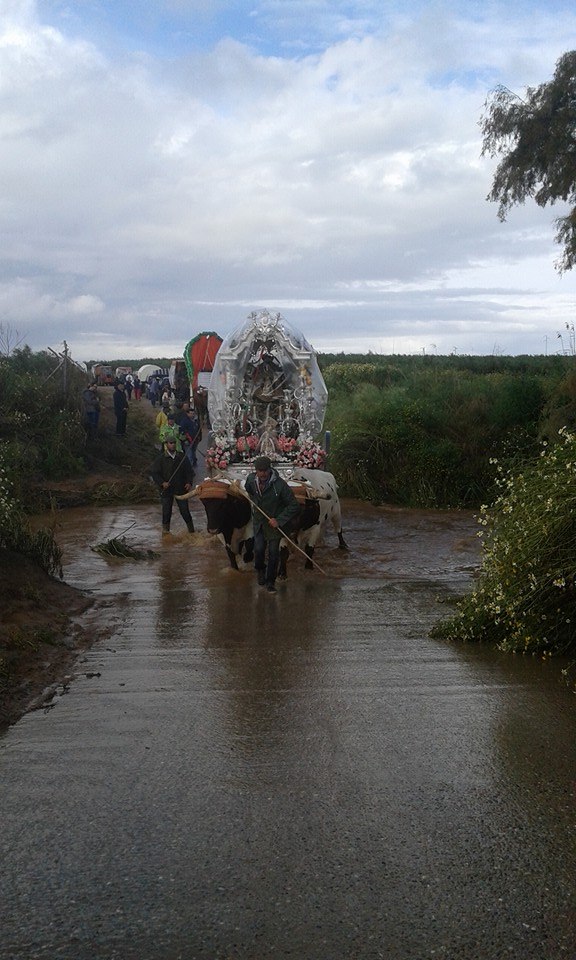 San Juan de Aznalfarache al rocio 2016-1