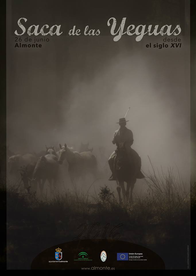 Saca yeguas 2016