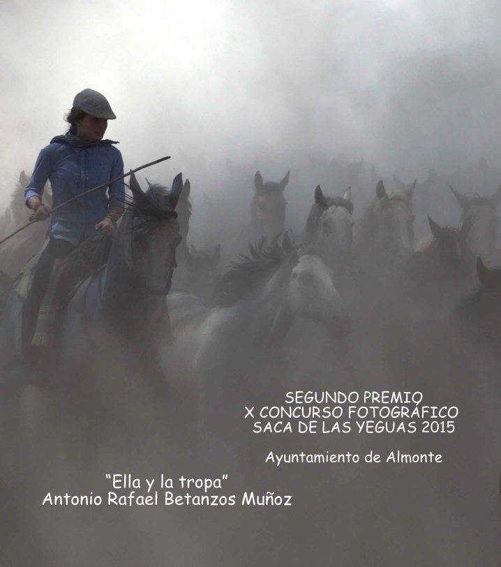 saca yeguas 2 premio 2015