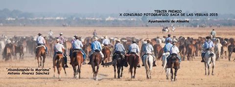 saca yeguas 3 premio 2015