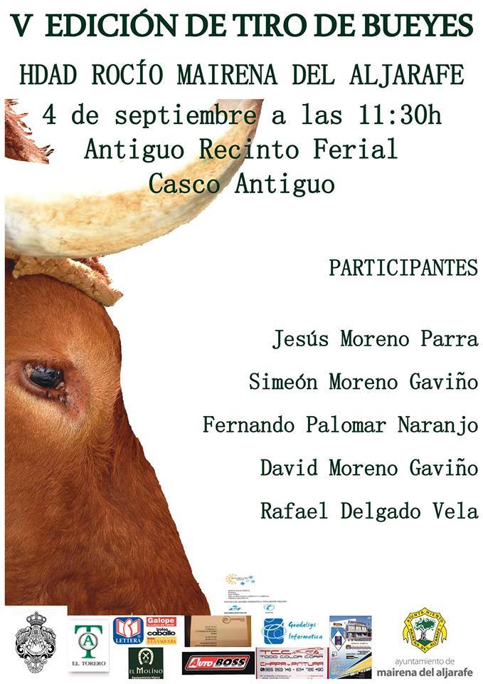 mairena del aljarafe-1