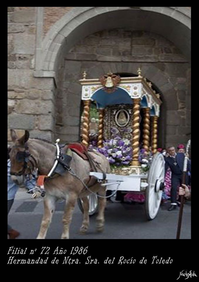 palma-toledo