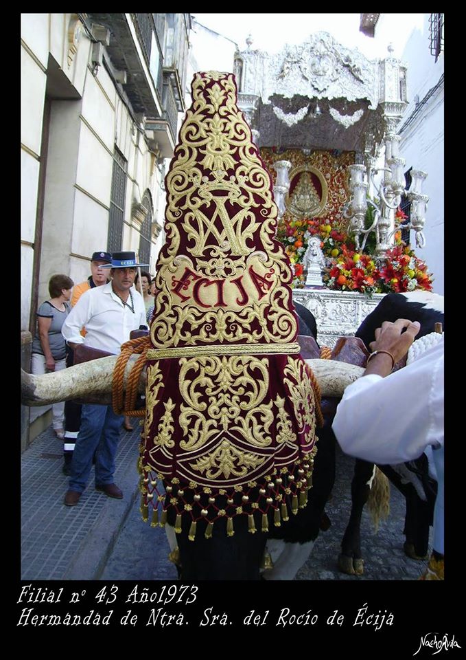palma-ecija