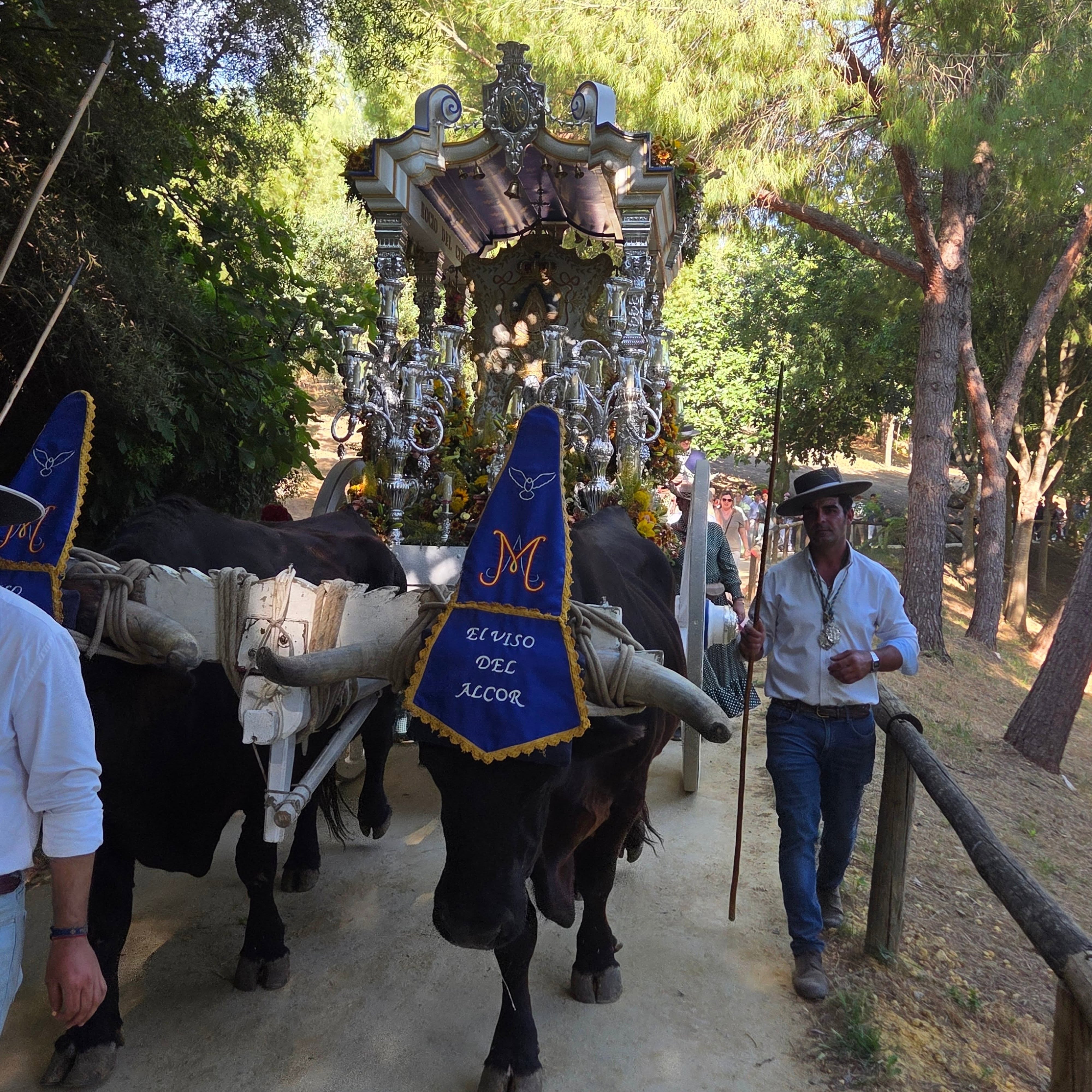 Momentos del Camino Rocio 2026 00038
