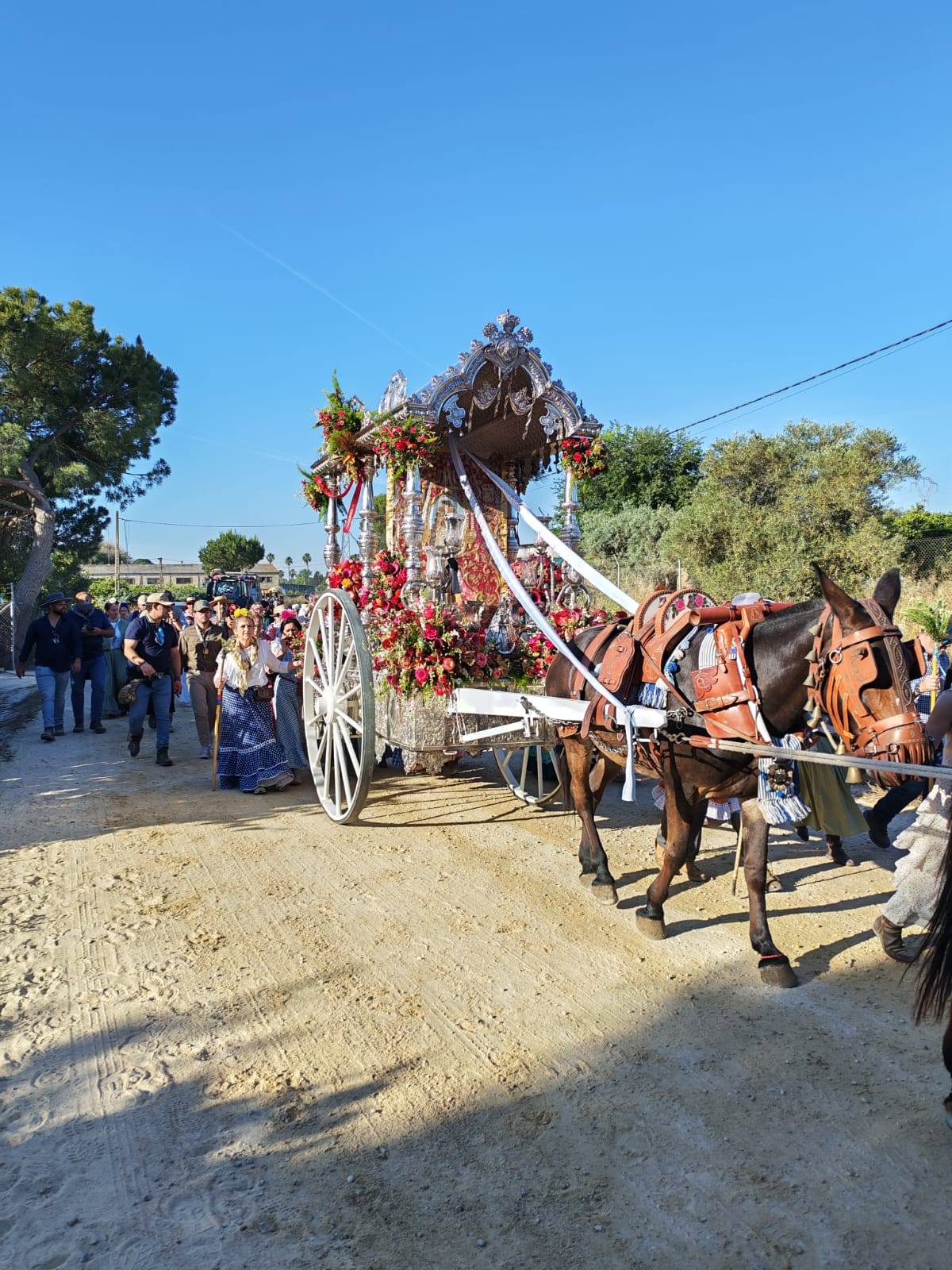 Momentos del Camino Rocio 2026 00040