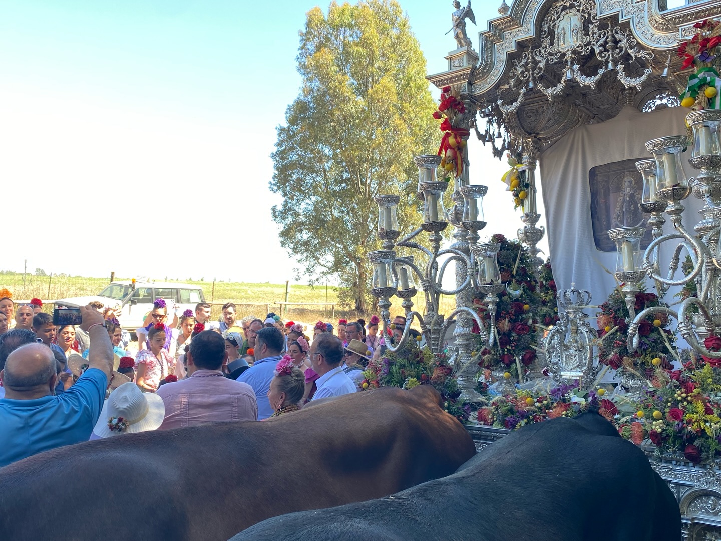 Momentos del Camino Rocio 2026 00062