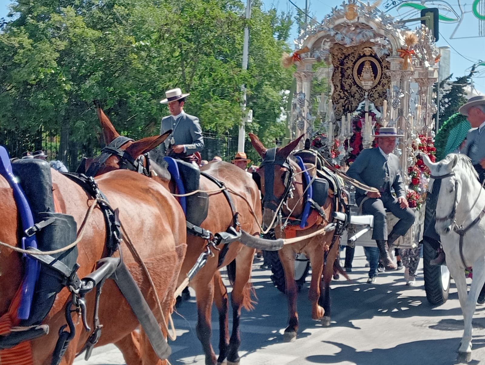 Momentos del Camino Rocio 2026 00073