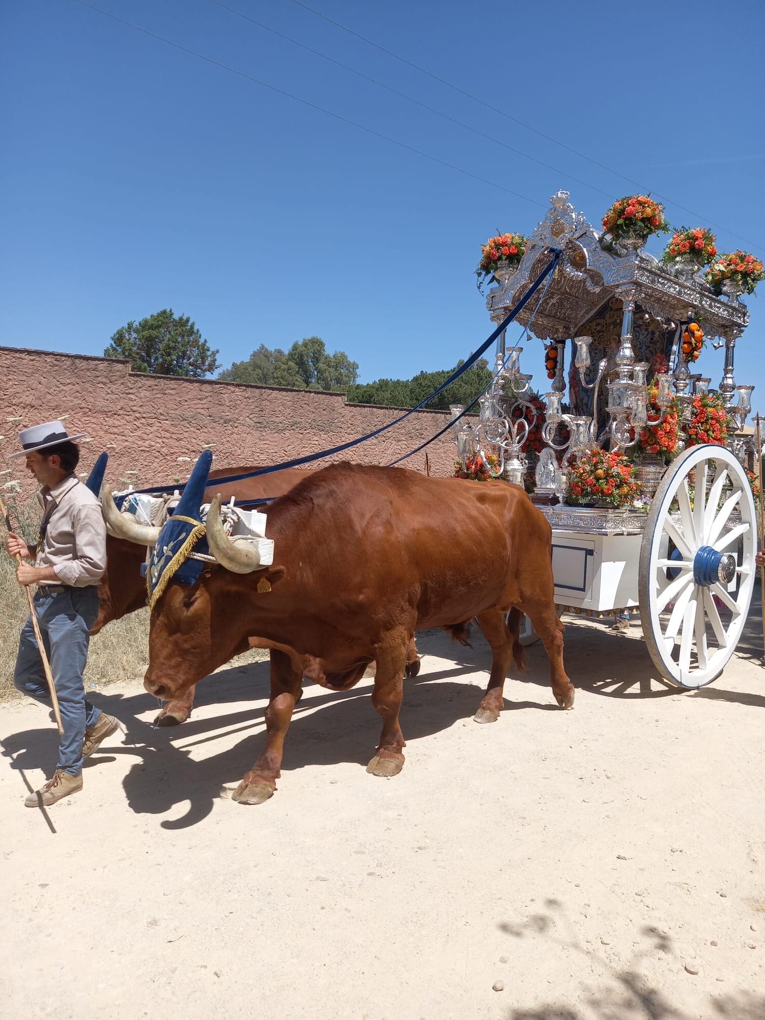 Momentos del Camino Rocio 2026 00087