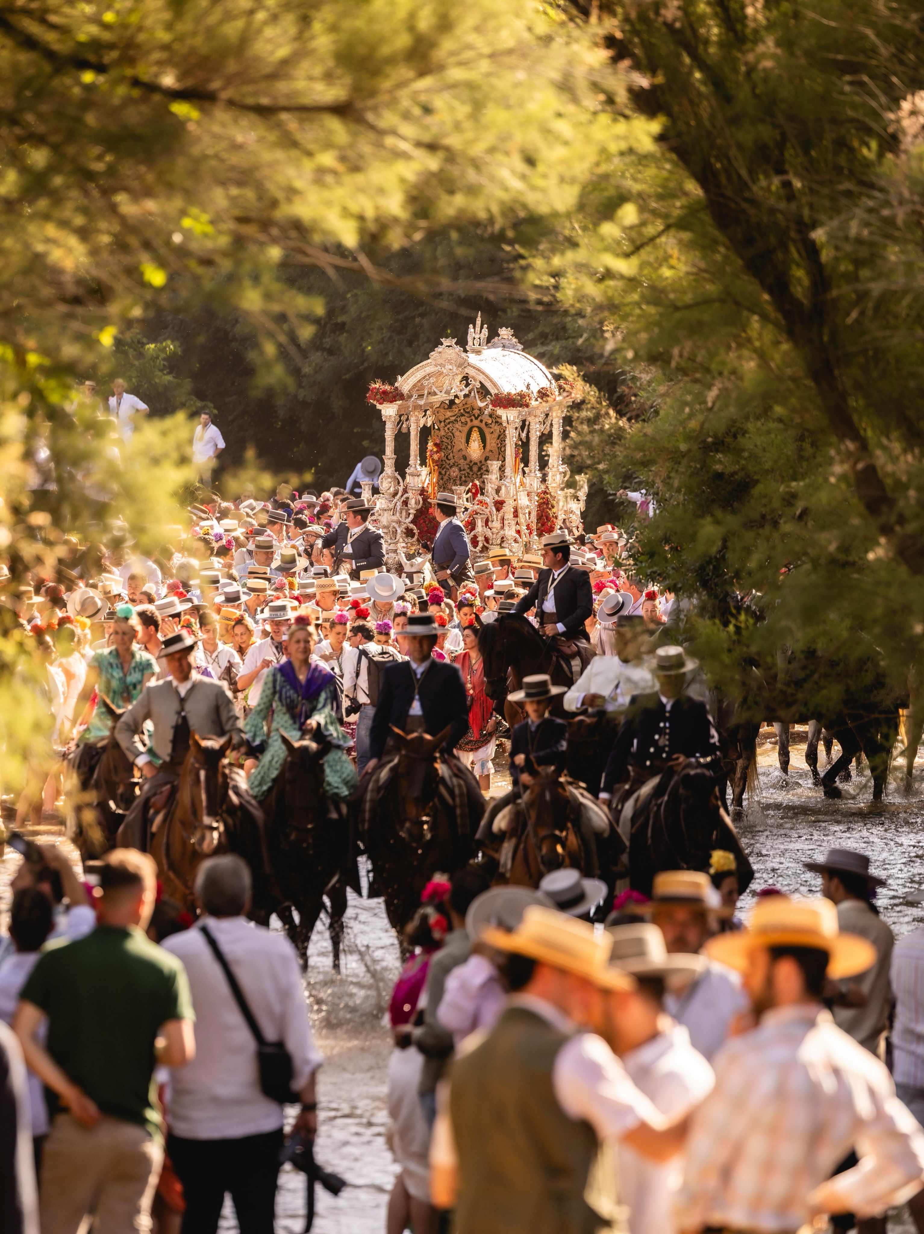 Momentos del Camino Rocio 2026 00155