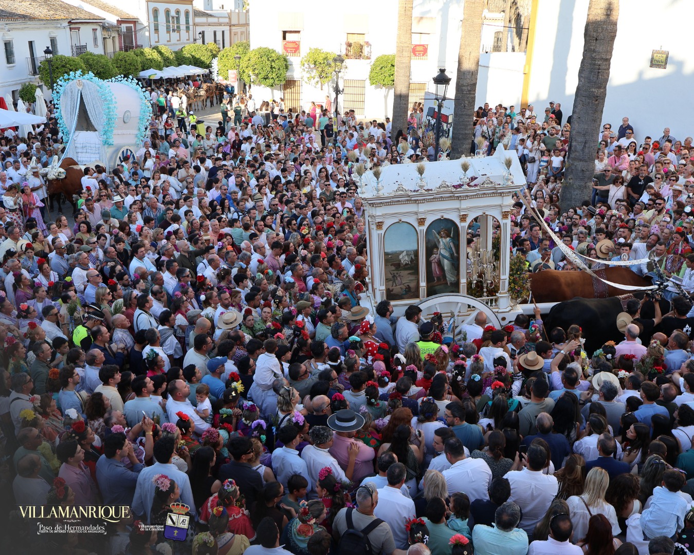 Momentos del Camino Rocio 2026 00161