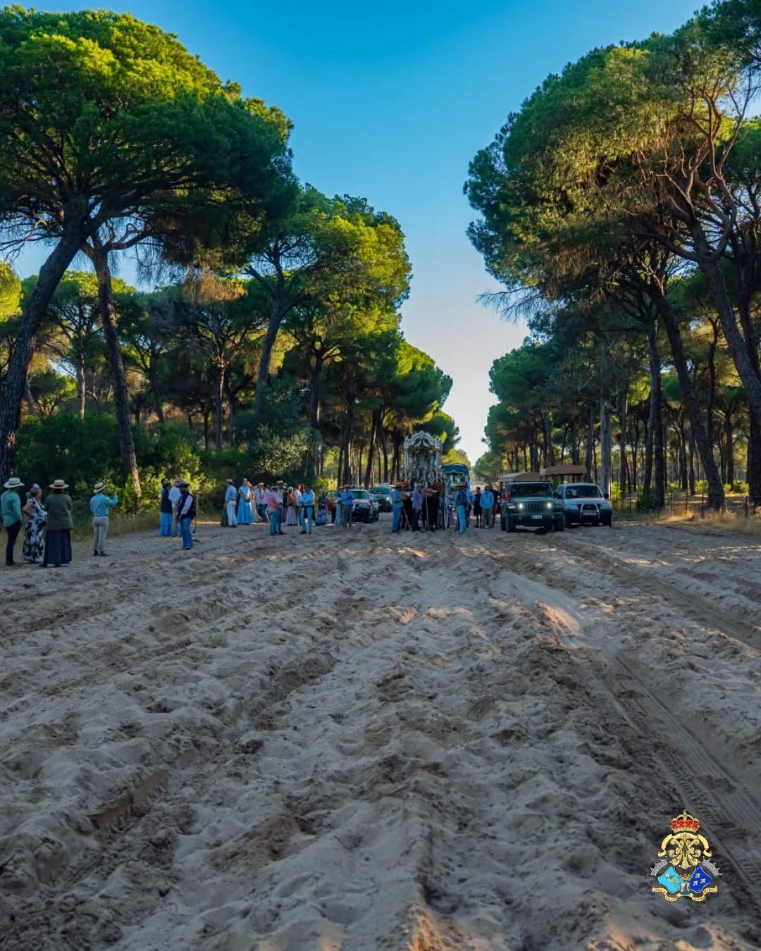 Momentos del Camino Rocio 2026 00176