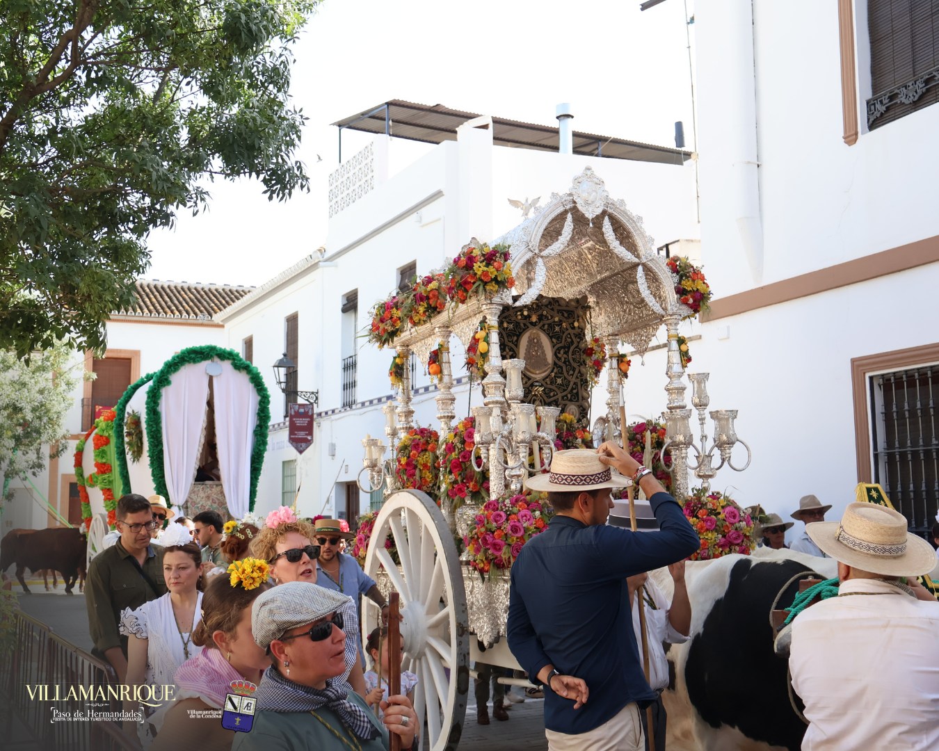 Momentos del Camino Rocio 2026 00181