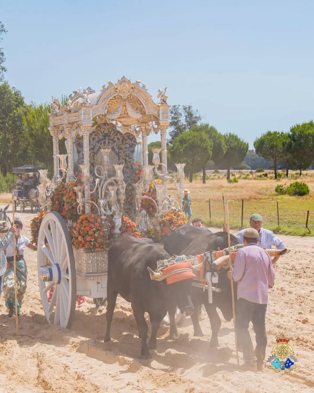 Momentos del Camino Rocio 2026 00201