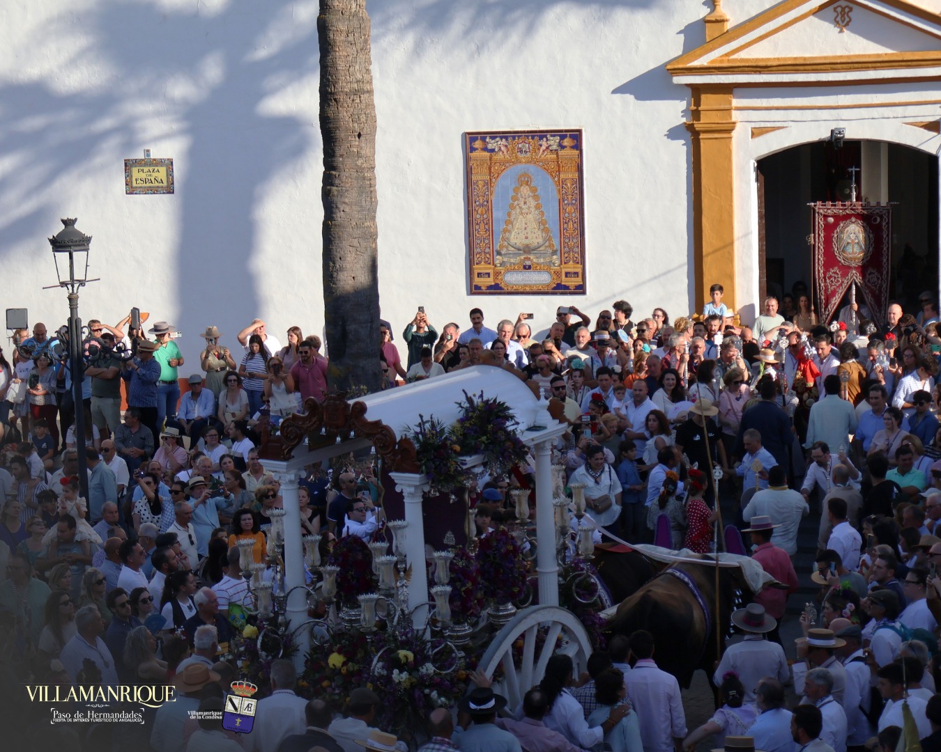 Momentos del Camino Rocio 2026 00208