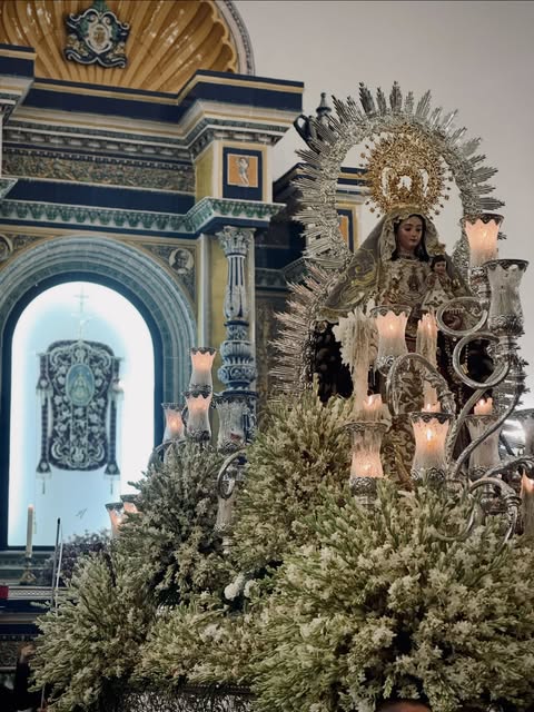 Imagen 1 de Gelves