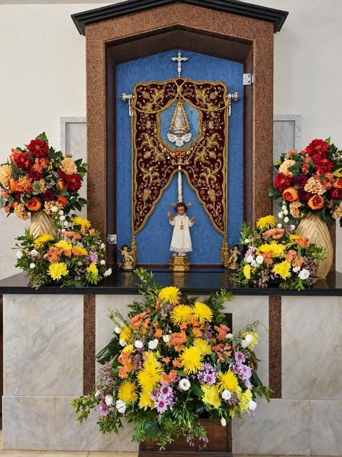 Imagen 1 de Los Palacios