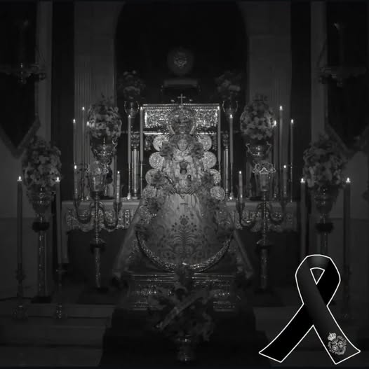 Imagen 1 de Olivares