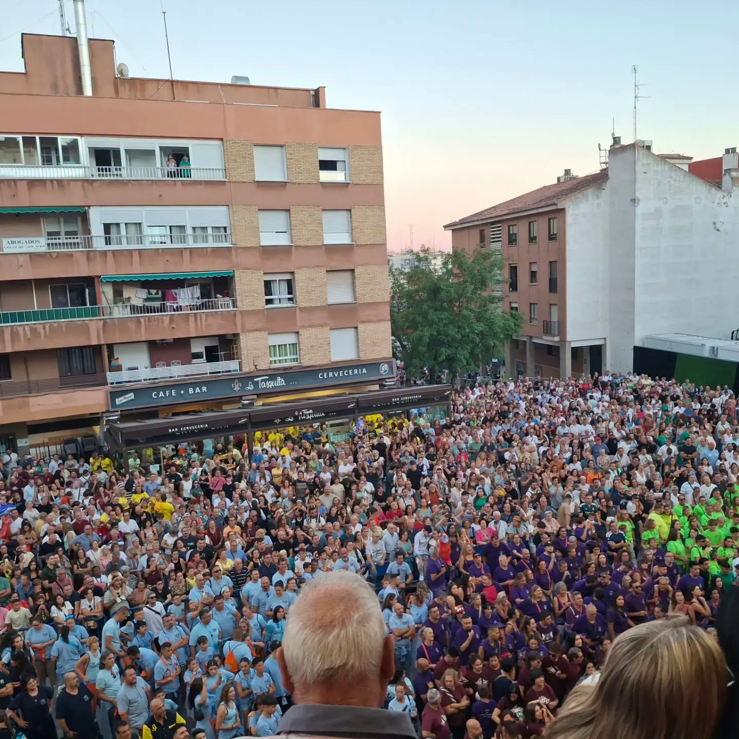 Imagen 1 de Mostoles