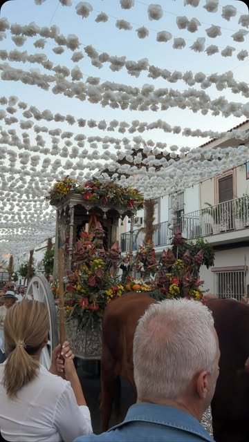 Imagen 1 de Las Palmas