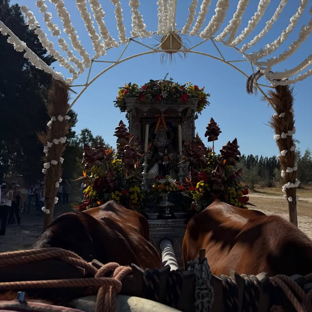 Imagen 1 de Las Palmas