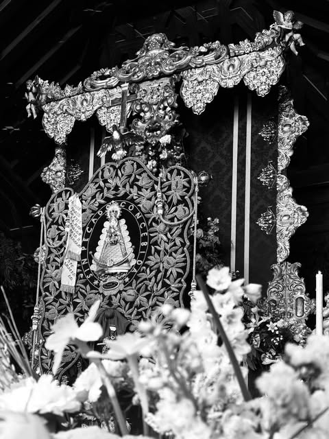 Imagen 1 de Granada