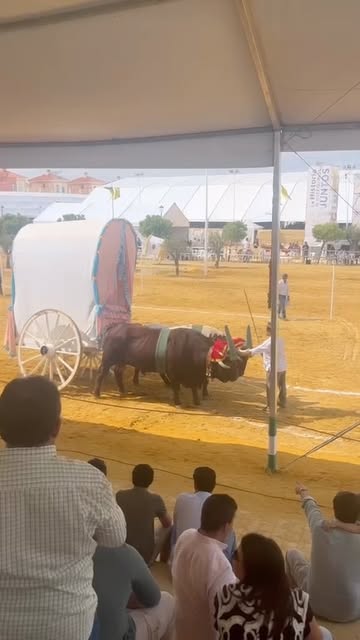 Imagen 1 de Tomares