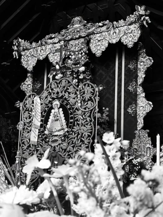 Imagen 1 de Granada