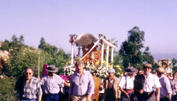Hermandad de Ronda – A Miguel Palma
