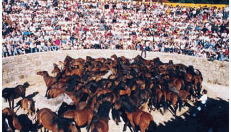 AIRES CELTAS EN ALMONTE