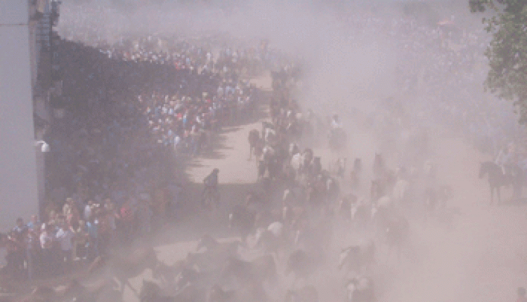 SACA DE YEGUAS en Almonte 2006