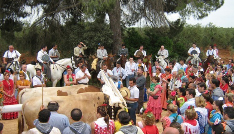 Fotos de la Hermandad de Coria del Río