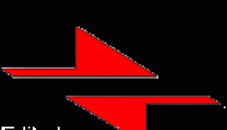 DAMAS – Servicios especiales romería de El Rocío mayo 2.007