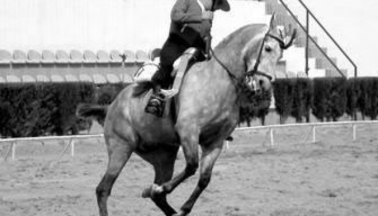 El Rocío, centro de buenos jinetes