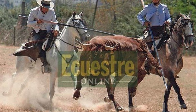 El Campeonato de España de Acoso y Derribo, en El Rocío