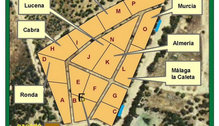 Mapas de ordenación de Palacio del Rey año 2009 (Situación de Hermandades)