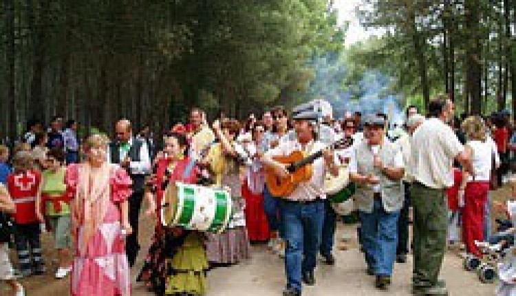 El rocío se siente en Logroño