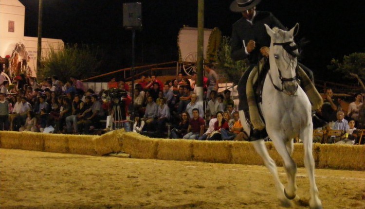Este domingo, 4 de octubre, sexto Concurso de Yuntas y Carreteros de Gines