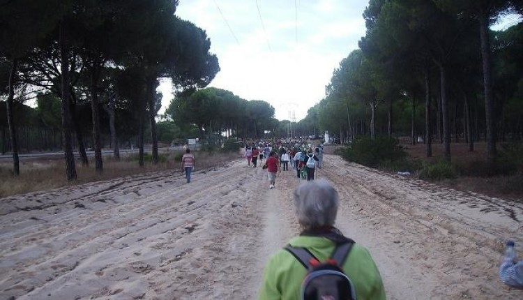 Artículo de Santiago Padilla – CAMINO DE LOS LLANOS