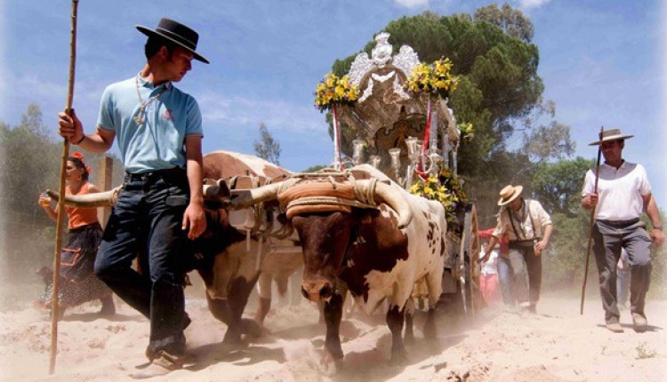 Resultados del I Certamen de Fotografía Artística El Rocío 2010