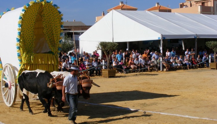 VII Concurso de Yuntas y Carreteros de Gines