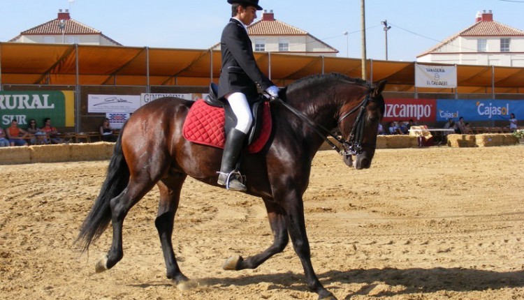 Una Pará en Gines 2010
