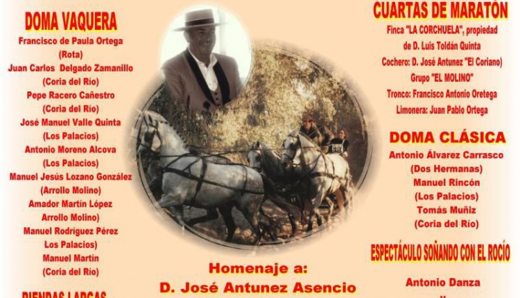 EXHIBICIÓN ECUESTRE EN CORIA DEL RÍO