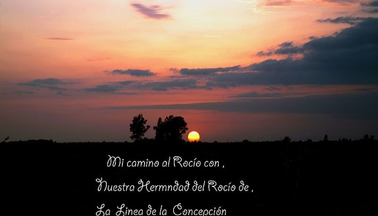 Fotografías de Jorge Tellez