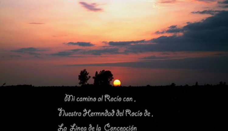 Fotografías de Jorge Tellez