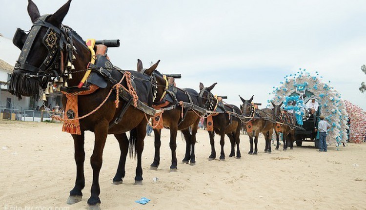 Peregrinaciones extraordinarias del domingo, 25 de septiembre de 2011