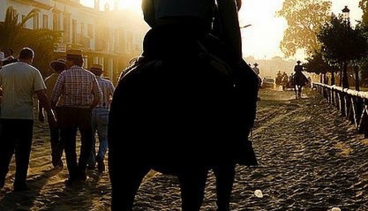 Peregrinaciones extraordinarias del domingo, 16 de octubre de 2011