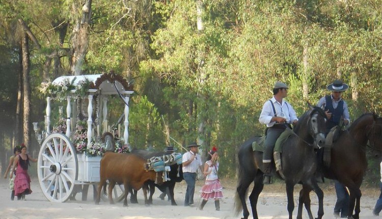 Hermandad de RONDA – Peregrinación anual