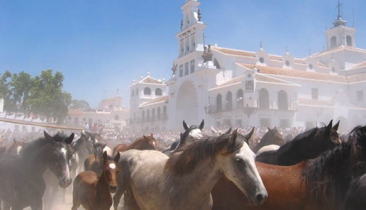 Peregrinaciones extraordinarias del domingo 12 de febrero de 2012